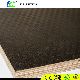  Chinese Suppliers Brand Birch Film Faced Plywood, Shuttering Plywood