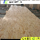 9.5mm-18mm Pine OSB Board/OSB3 for Chile/Canada and USA Market manufacturer