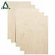  18mm 21mm 25mm Birch Plywood Good Quality Commercial Plywood