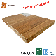 9mm 10mm Wholesale Film Faced Plywood Board Sheet with Fsc&Lloyds Register Certified Factory