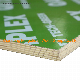 Green PP Plastic Film Faced Plywood Construction Combi Core Formwork Plywood