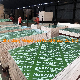 Moazam Plex Green PP Plywood Brige Construction Waterproof Plastic Film Faced Plywood
