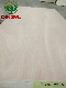 Commercial Plywood, Furniture Plywood, Carb Plywood with E0 Glue