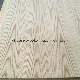Red Oak Veneer Plywood / Carb Plywood / EPA Grade Plywood / Commercial Plywood manufacturer