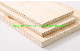 CDX Flooring Plywood F11 Grade AS/NZS2269 Standard a Bond H2s Treatment