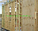 CDX Structural Plywood F8 F11 F14 F17 Grade for Flooring Plywood