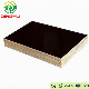 Shuttering Plywood/ Black Film Faced Plywood/Construction Plywood /Phenolic Plywood manufacturer