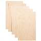 Top Quality Thick Plywood Hardwood Poplar Birch Plywood for Furniture or Construction