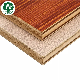 Oak Poplar Veneer Plywood Board with Melamine Paper Plywood Sheet