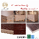 18mm High Glossy UV Painted MDF Boards Building Materials for Kitchen Cabinet manufacturer
