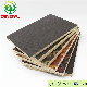 Film Faced Plywood for Construction 13-Ply Wood manufacturer