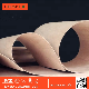  Flexible Poplar Plywood 3mm 4mm 5mm 6mm