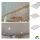 Sample Customization Interlocking Plastic Roof False Tablilla Techos Cielo Raso Spandrel Ceiling Techos En PVC Laminated Panel manufacturer