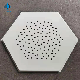 Perforated 600X600mm False Ceiling Tiles Lay in Ceiling for Interior Decoration
