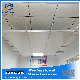 China Factory New Design for Suspended Ceiling Single Terrace Ceiling Tee Grids