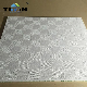  60*60 Gypsum Ceiling PVC Techo Interior Blanco Suspended Ceiling for Gypsum