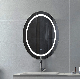 50X70cm Wholesale Home Decor Modern Glass Makeup Smart LED Bathroom Illuminated Wall Oval Colored Mirror