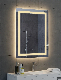 Bathroom Manufacturer Vanity Dressing Mirror Bath LED Illuminated Smart Lighted Mirror Waterproof Highlight Frameless LED Mirror manufacturer