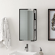 Ortonbath Half-Mirror Mirror Cabinet Hidden Mirror Cabinet Wall-Mounted Space Aluminum Bathroom Locker Mirror Multiple Placement Organized Storage Color: Black