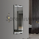 Aluminum Alloy Wall Full Mirror Hotel Bathroom LED Full Length Salon Mirror with Light