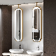  Stainless Steel Oval LED Ceiling Smart Bathroom Mirror