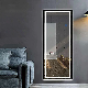 Whole Body Floor-to-Ceiling Mirror with Frame and Light Smart Wall-Mounted Dressing Mirror