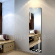 Frameless Waterproof Wall Silver Mirror for Home Decoration/Makeup/Bathroom/Dressing
