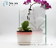  Switchable Magic Smart Glass Wisdom Mirror Glas (S-F7)
