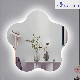 Aluminum Mirror/Silver Mirror/Copper Free Mirror/Antique Mirror for Decoration/Mirror