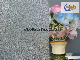  4mm, 5mm, 6mm, Nashiji Glass/ Flora Glass/ Figured Glass/ Clear Glass/ Tinted Glass/ Bamboo Figured / Patterned Glass