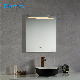 SAA Approval Australia Standard Salon Furniture LED Light Makeup Hotel Bathroom Wall Decoration Illuminated Bedroom Mirror manufacturer