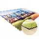  3mm*0.21mm Aluminum Composite Panel for Signage Panel with 1220*2440mm