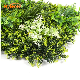  Garden Green Wall Artificial Plant for Outdoor Decoration