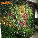 Colorful Plants Wall Decoration Artificial Grass Flor Artificial Hanging Plants Green Wall