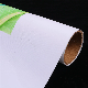 280GSM Wide Format Matte Polyester Canvas Inkjet Roll for Canon Pigment Printer