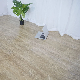 PVC Material Waterproof Wear Resistant Indoor Lvt Vinyl Click Wood Flooring