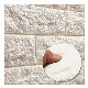 Waterproof Soft Wall Panel PE Foam 3D Wall Sticker for Home Decoration