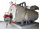 Wns Natural Gas Fired Steam Boiler with China or ASME Standard