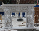 Carved French Style Marble Angel Fireplace/Marble Fireplace Mantel (SYMF-326)