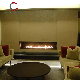 Propane Gas Natural Gas Fireplaces in The House manufacturer