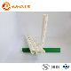 Professional Manufacturer Pn16 Pn20 White Green Plastic Plumbing PPR Tube Polypropylene PPR Pipe for Cold and Hot Water Supply