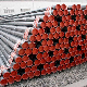  ASTM A106/A53/Spiral/Weld/Seamless/Galvanized/Stainless/Black/Round/Gi Hollow Square Pipes Oil and Gas ERW Carbon Steel Pipe