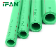 Ifan Pn25 Pn16 Plumbing Pipe Plastic PPR Pipes with Wholesale Price manufacturer