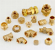 Brass Fitting Screw Fittings Plumbing Brass Fitting Plumbing