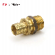 Male Elbow in Brass Push- Pex Fittings manufacturer