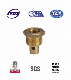  LPG Cylinder Valves