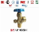 Industry Gas Cylinder Valve - Oxygen Cylinder Valve (QF-2G1) manufacturer