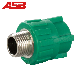 Green White PPR Fittings PPR Male Socket Polypropylene Fittings with CE Certifcation for Hot and Cold Water manufacturer