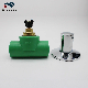  Mexico/South America Stop Cork Stop Valve PPR Valve PPR Pipe Fitting