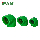 Ifan PPR Fittings Names L20-L110 PPR Pipe Fitting Plastic 90 Degree Elbow PPR Fittings